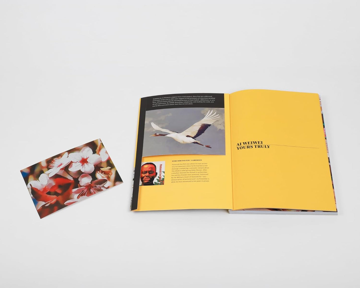 Ai Weiwei: Yours Truly