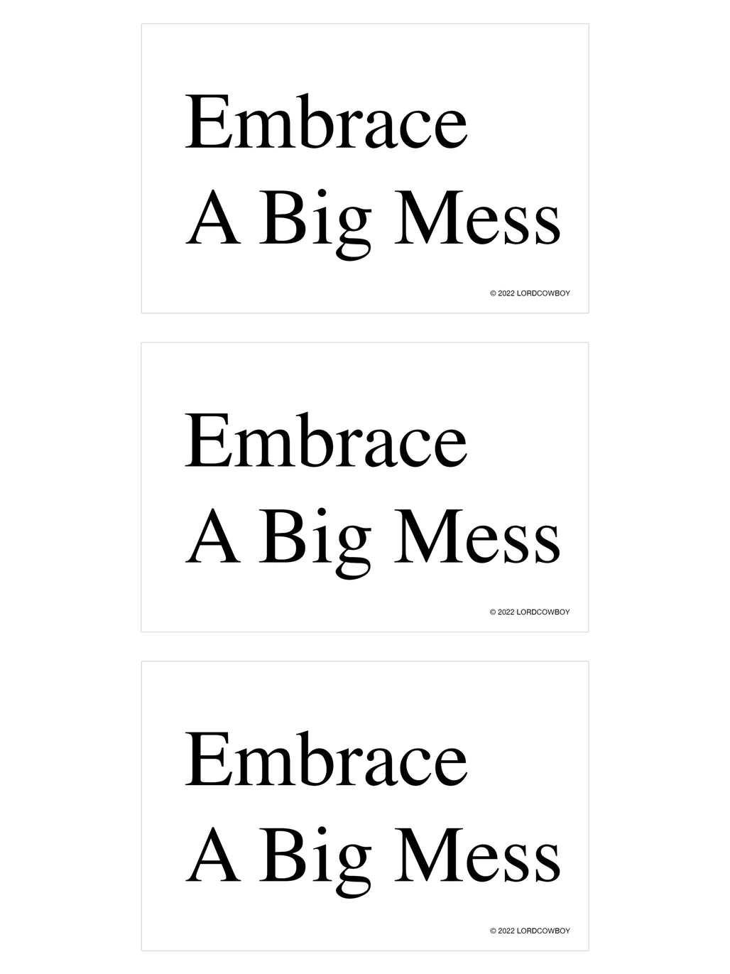 Sticker: Embrace A Big Mess
