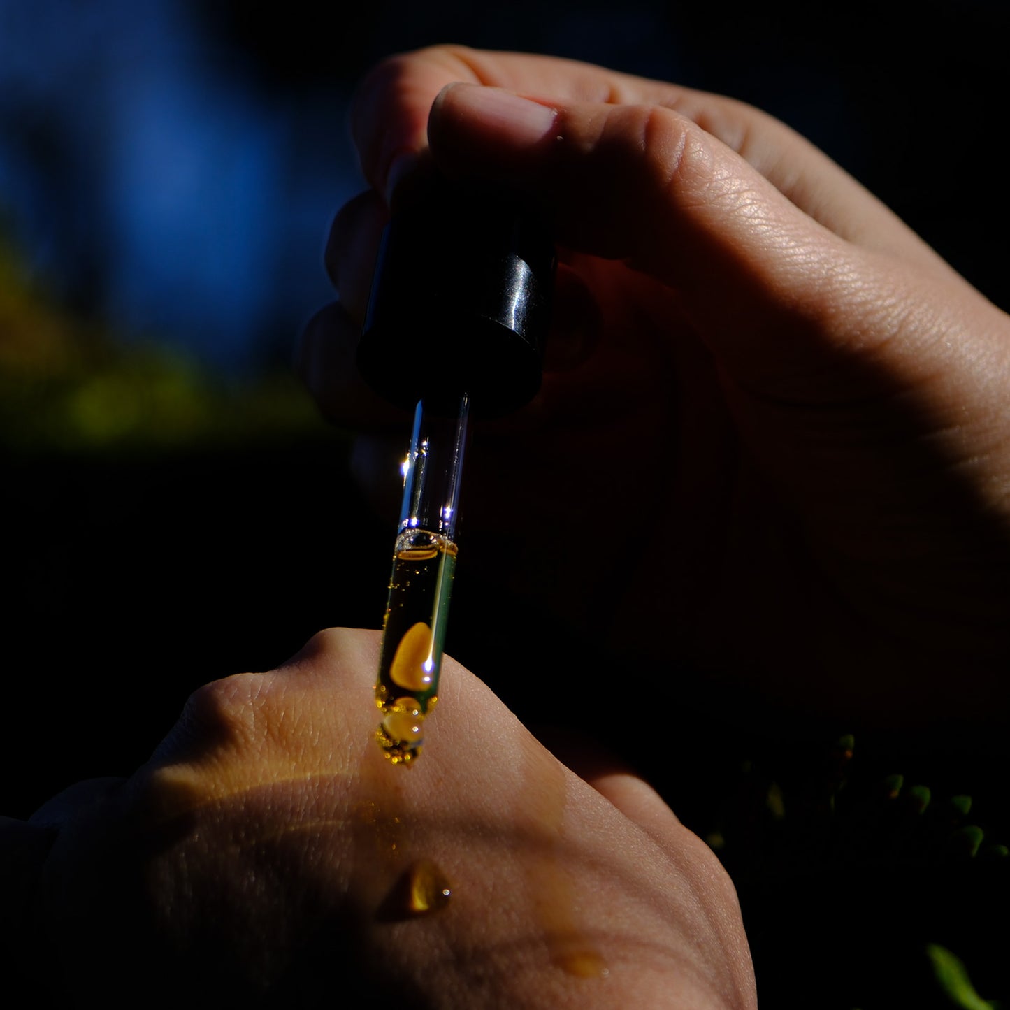 Winter Body Oil: Apricity