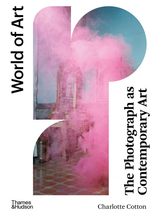 The Photograph as Contemporary Art - World of Art