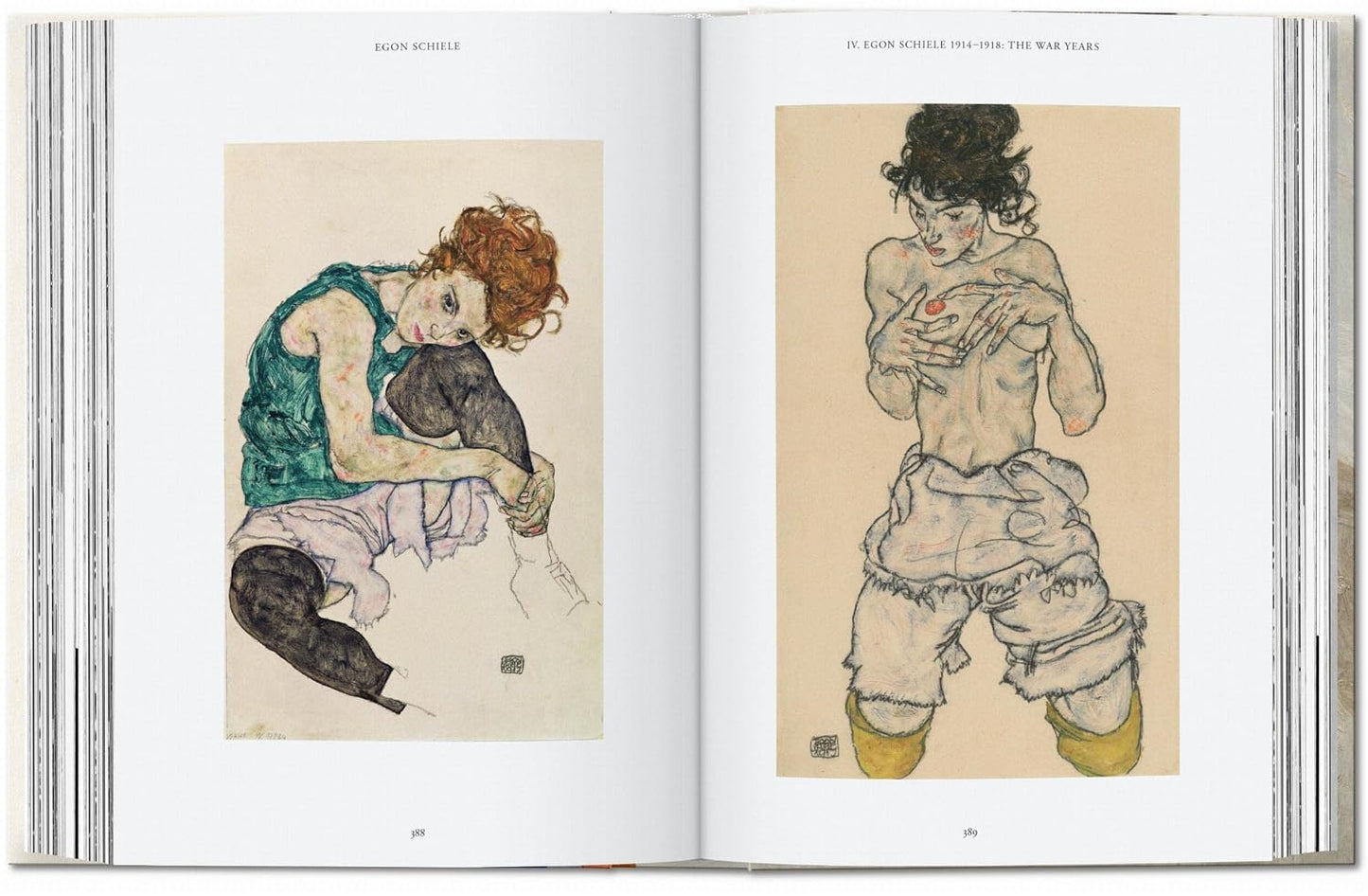 Egon Schiele. the Paintings.(45th Edition)