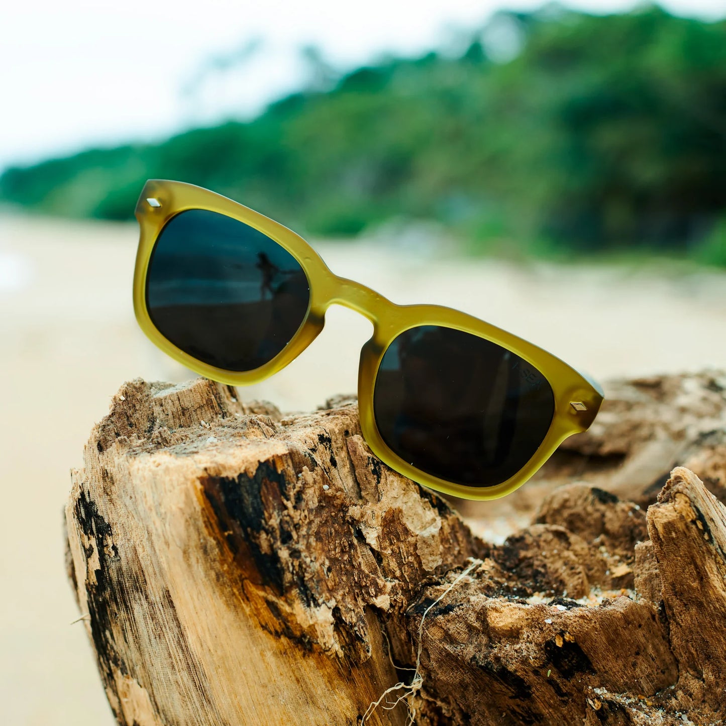 Blair 2.0 Sunglasses - Olive/Smoke