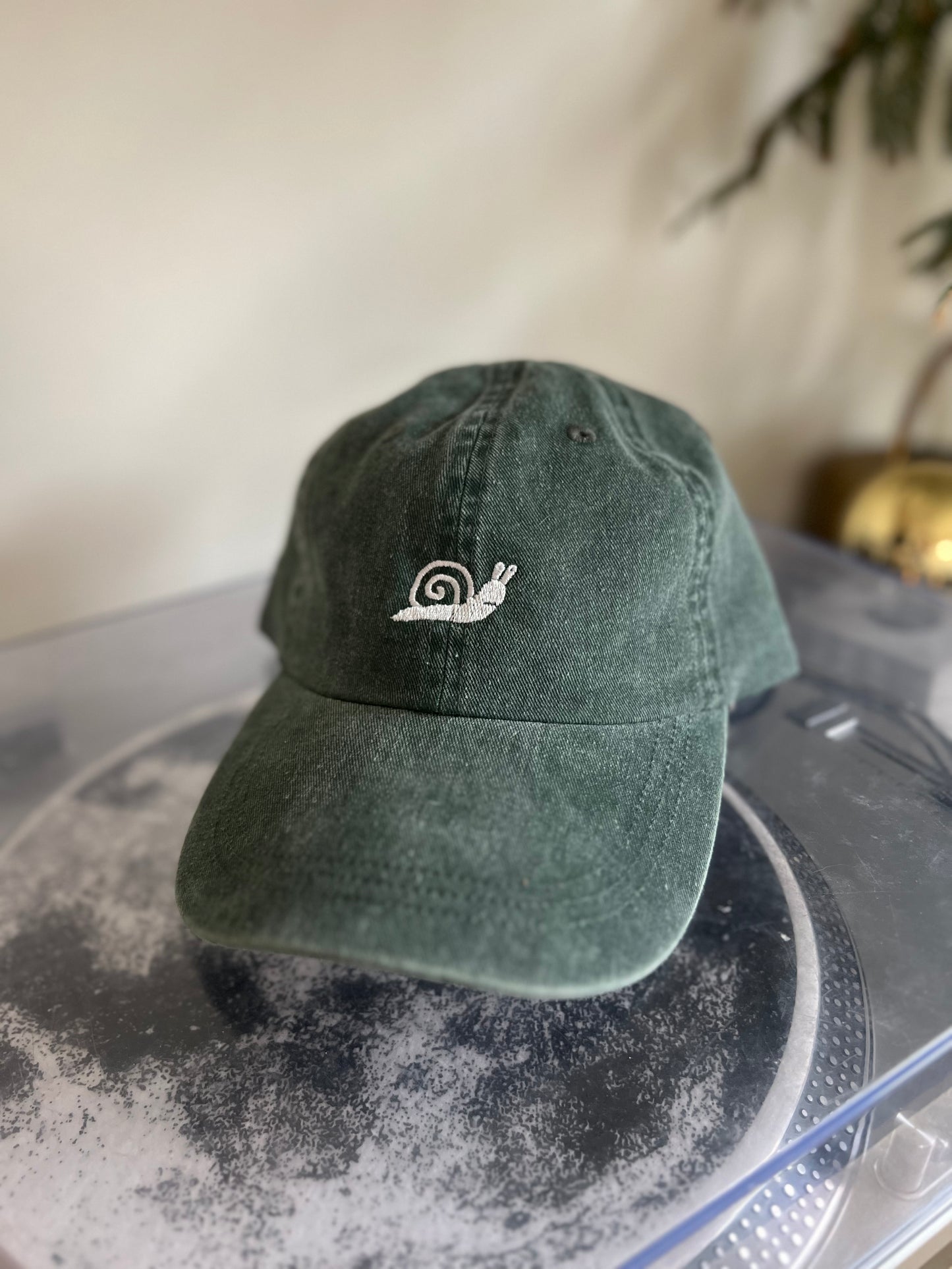 While on Earth Pigment Dyed Dad Hat