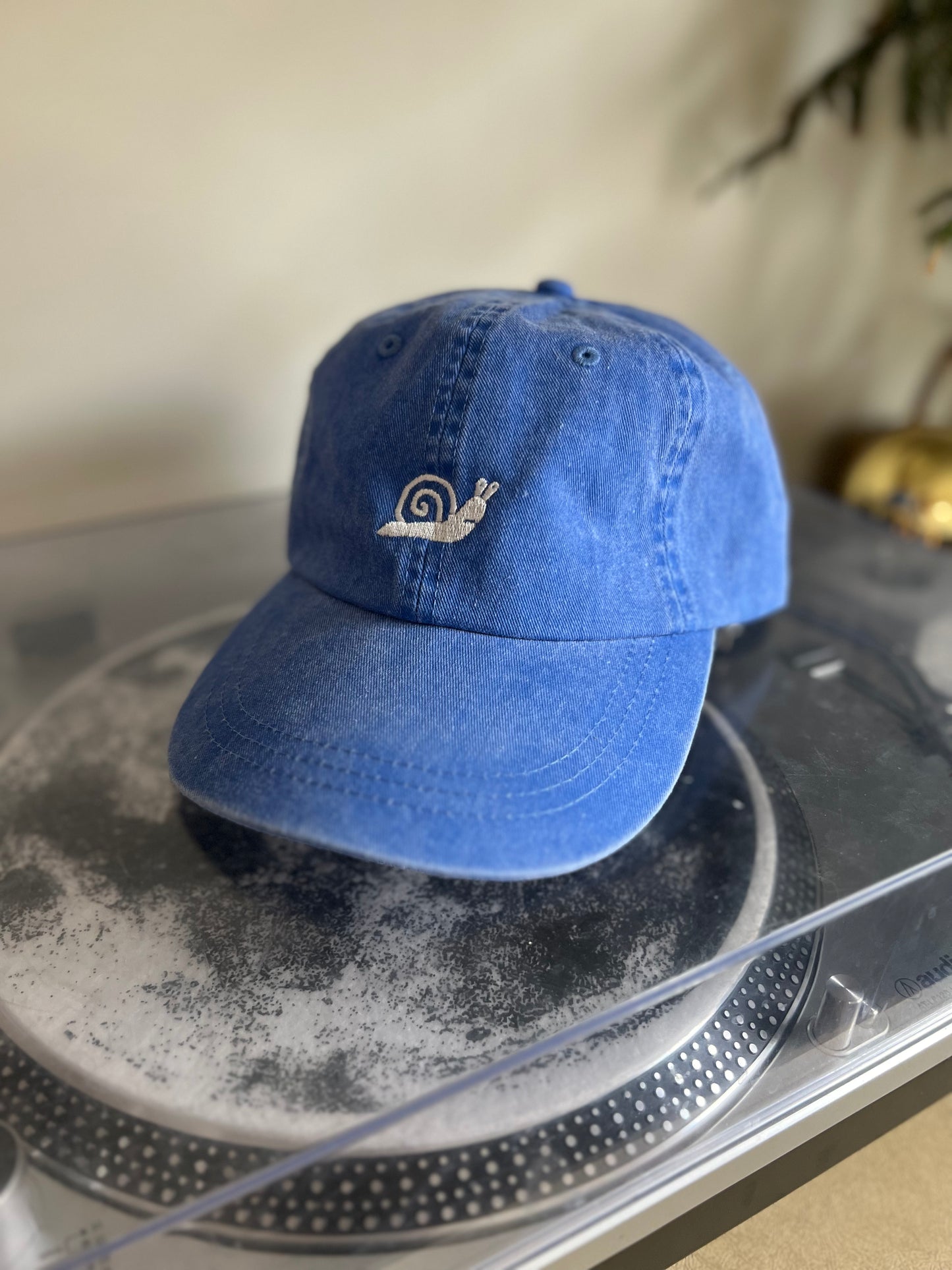 While on Earth Pigment Dyed Dad Hat