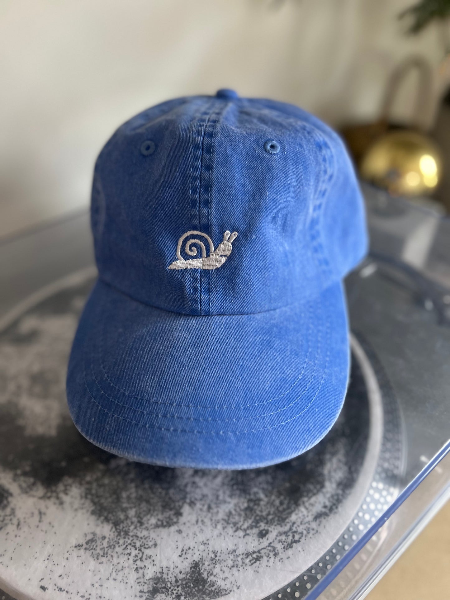 While on Earth Pigment Dyed Dad Hat