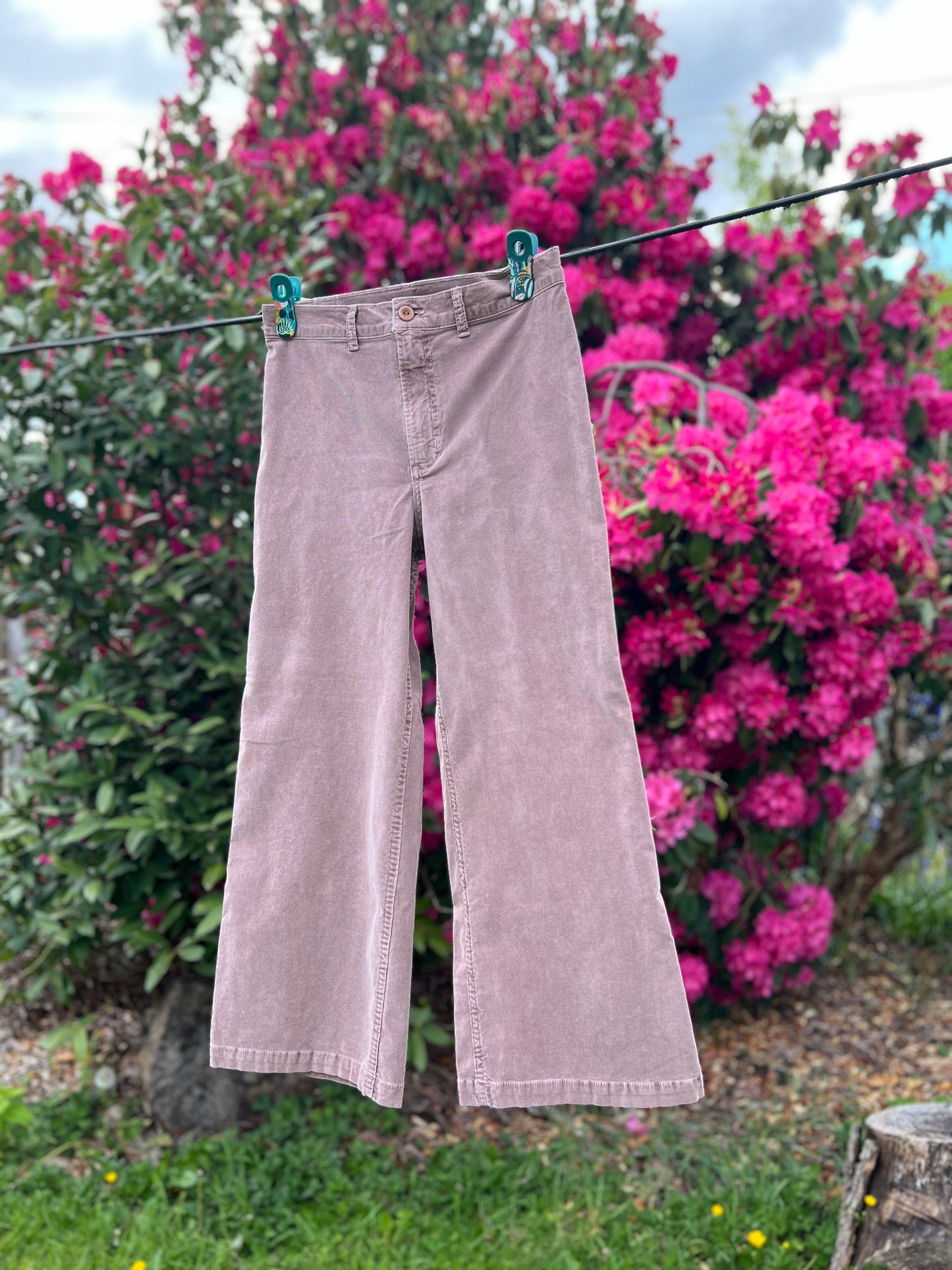 Moonlight Trouser - Desert Rose