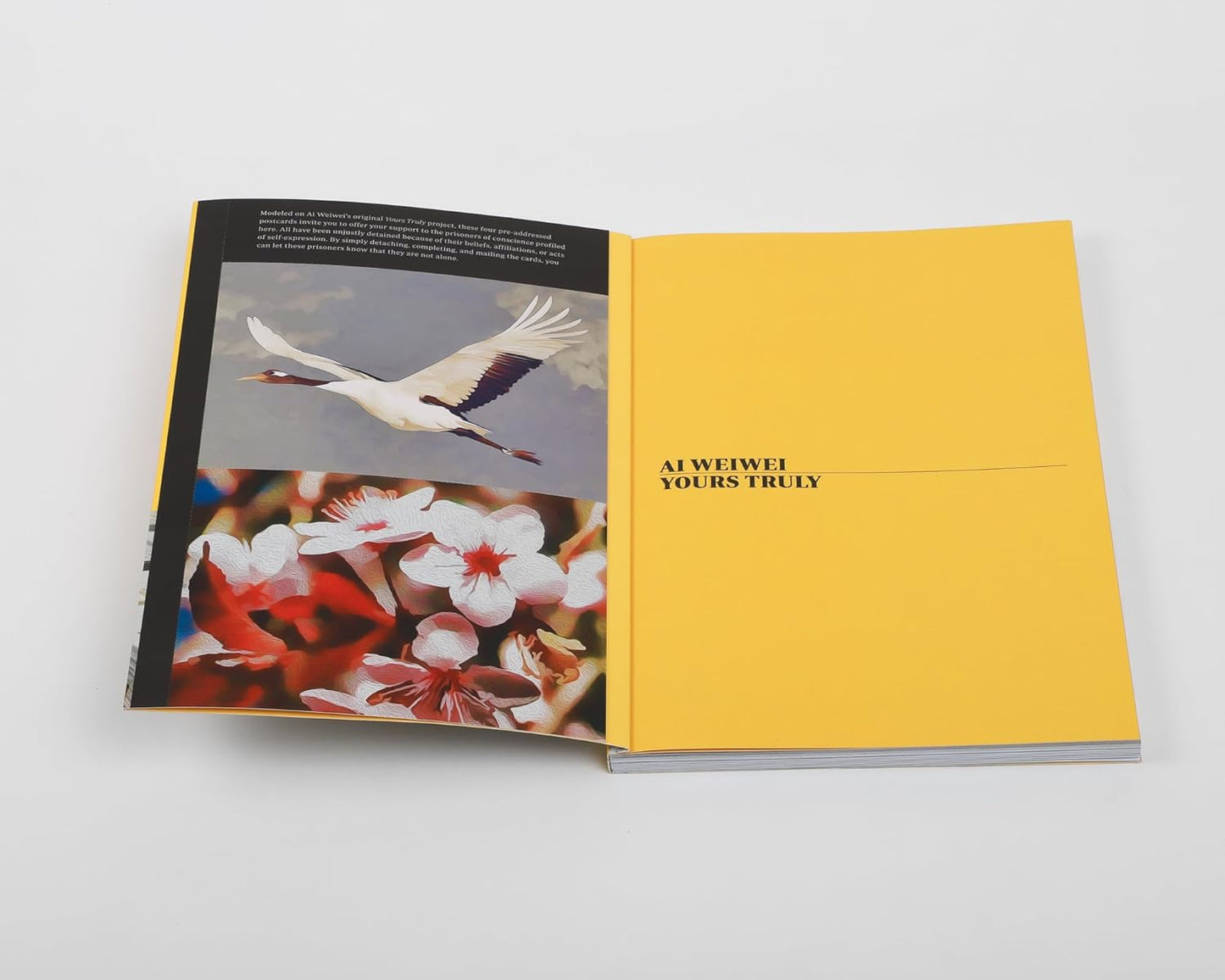 Ai Weiwei: Yours Truly