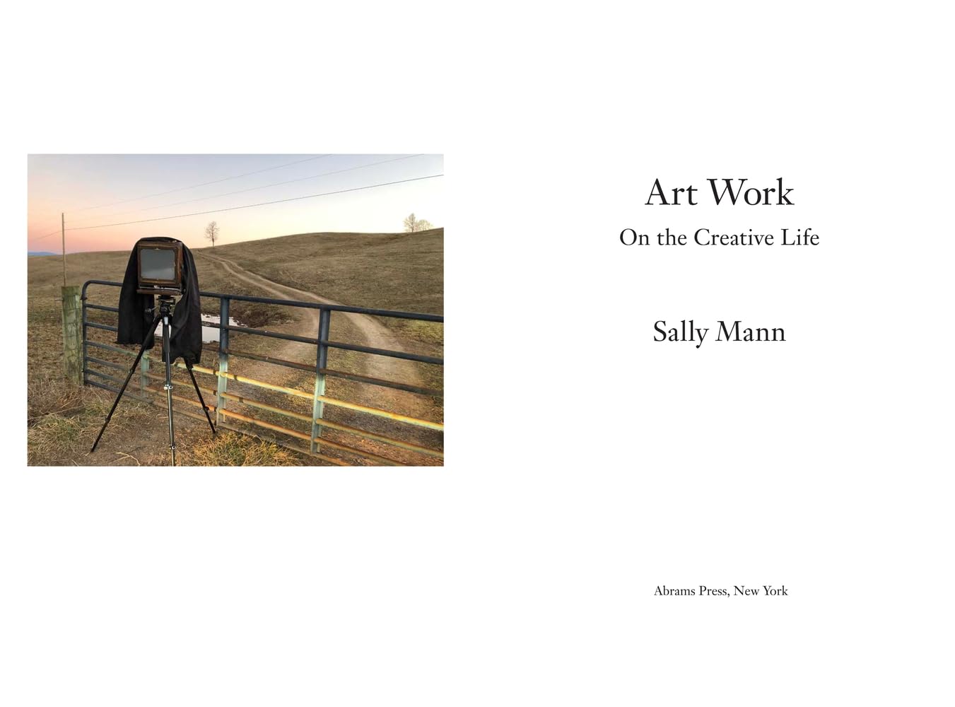 Art Work: On the Creative Life