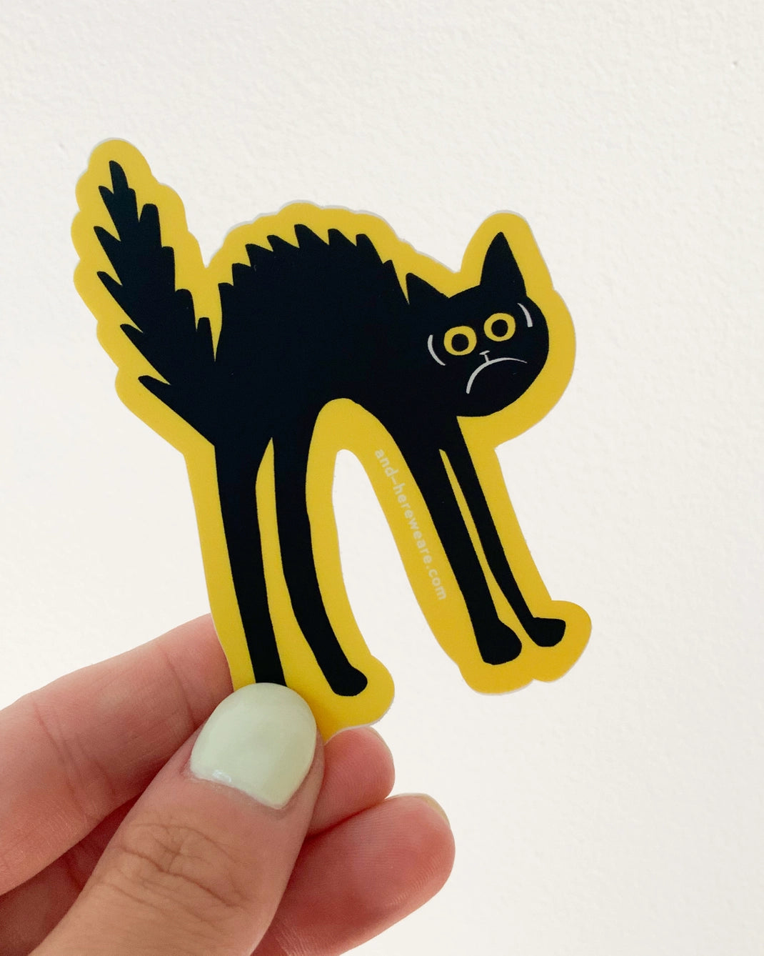 Black Cat Vinyl Sticker