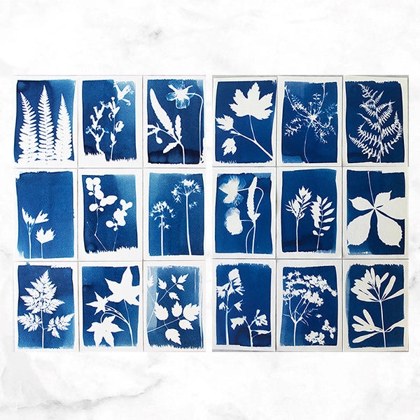 Cyanotype DIY Kit