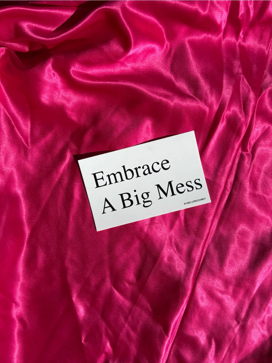 Sticker: Embrace A Big Mess