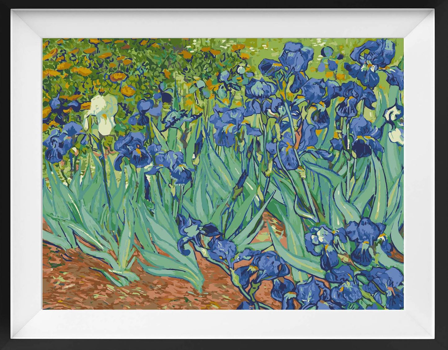 Irises - Vincent Van Gogh Paint By Numbers