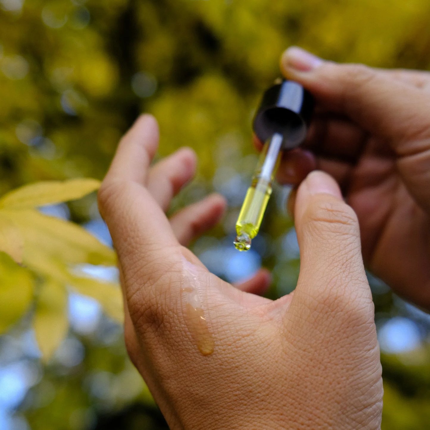 Autumn Body Oil: Kindling