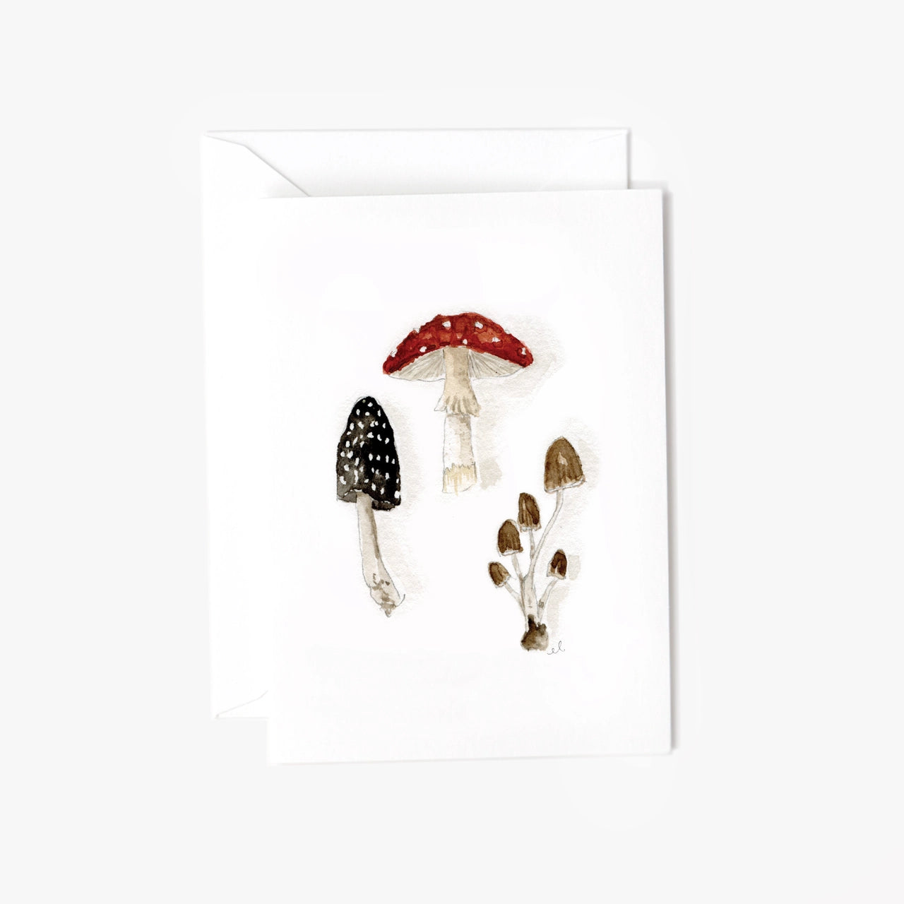 Mushrooms Mini Notecard