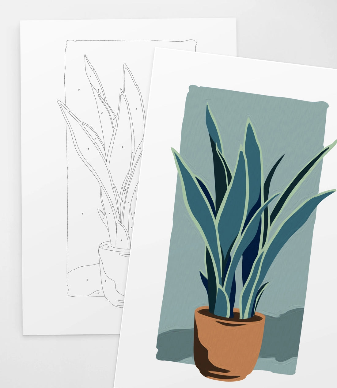 Potted Snake Plant | Modern Paint By Numbers Kit