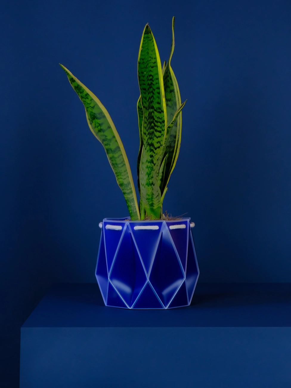 18cm Self-Watering POTR | Navy Blue