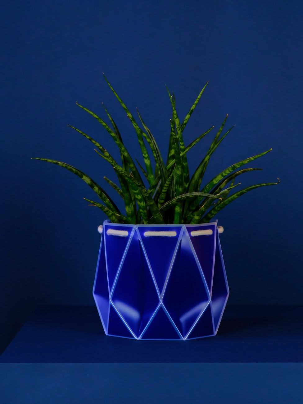 18cm Self-Watering POTR | Navy Blue