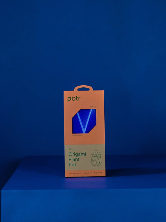 11cm Self-Watering POTR | Navy Pot