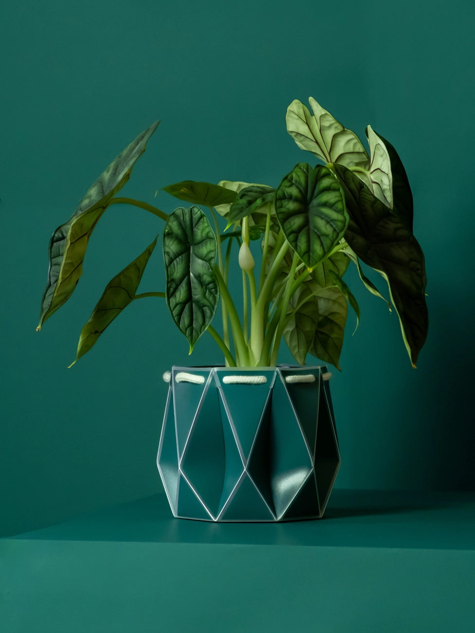 15cm Self-Watering POTR | Dark Teal