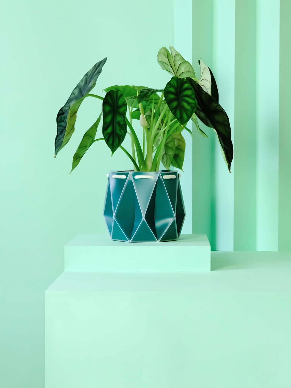 15cm Self-Watering POTR | Dark Teal