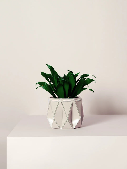 18cm Self-Watering POTR | Ivory White