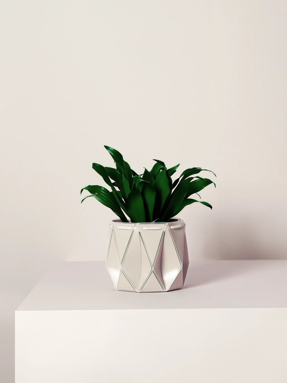 18cm Self-Watering POTR | Ivory White