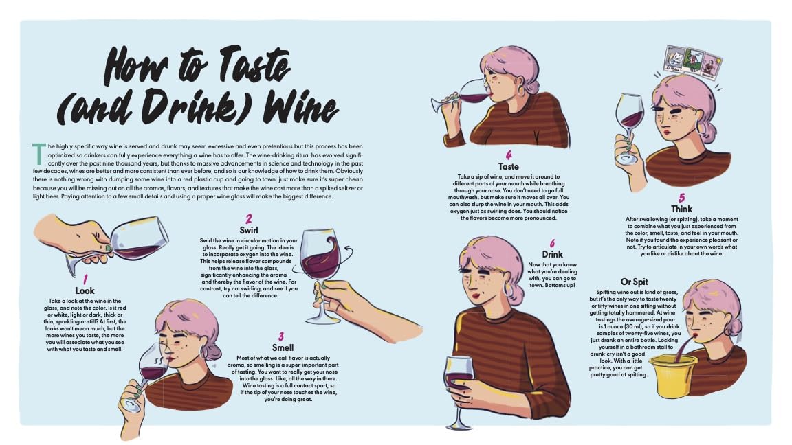 Rebel School of Wine: A Visual Guide to Drinking with Confidence